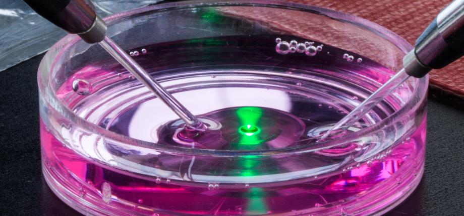 Scientific domain Biology